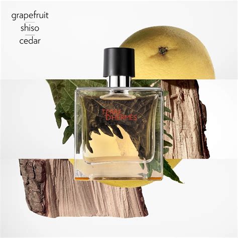 terre d'hermes composition|terre d'hermes perfume.